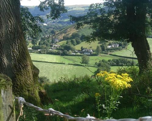 Horseshoe Pass Holiday Lets 랑골렌 객실 사진